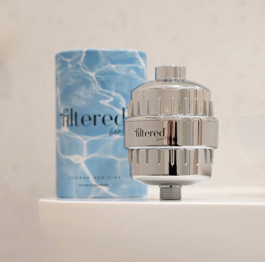 Filtered beauty shower filter Silver